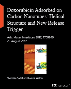 Doxorubicin Adsorbed on Carbon Nanotubes: Helical Structure and New Release Trigger